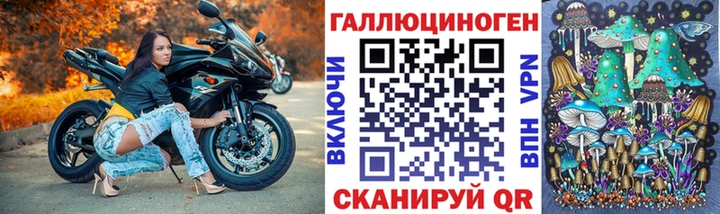 как найти закладки  Петухово  Псилоцибиновые грибы Cubensis 