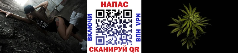 Конопля AK-47  гидра ТОР  Петухово 
